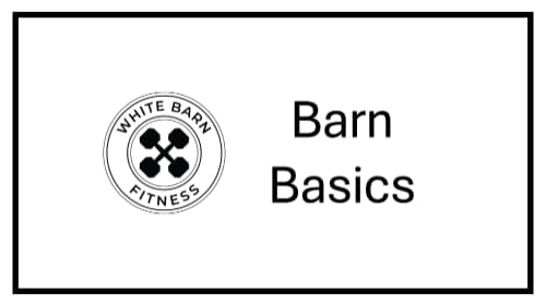 BARN BASICS: 15 minutes of lower body cover image