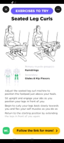 Seated  leg Curl cover image