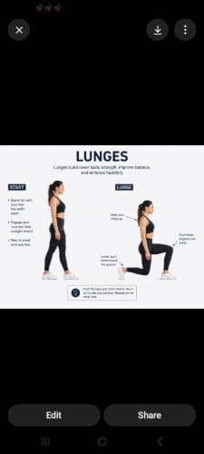 cover for Lunges