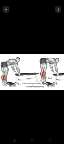cover for Bent knee calf raise