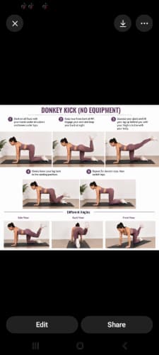 cover for Donkey Kick 