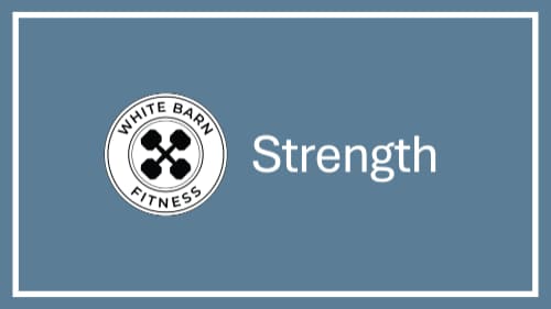 STRENGTH: Chest and back cover image