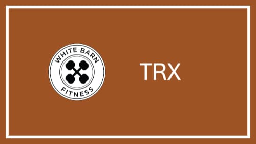 TRX: Suspended planks, lower body, chest and triceps cover image