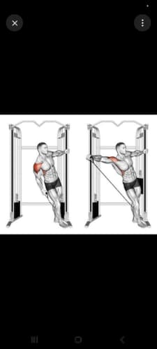 cover for Single Arm Lateral Cable Raise 