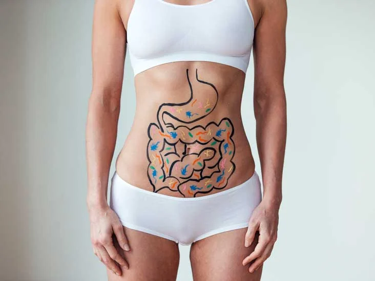The Surprising Role of Gut Health in Weight Loss | Perspire.tv Online Fitness Streaming Platform
