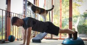 Tips for Staying Motivated During At-Home Workouts | Perspire.tv Online Fitness Streaming for Trainers